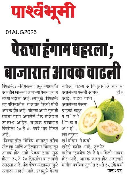 Beed  News Paper
