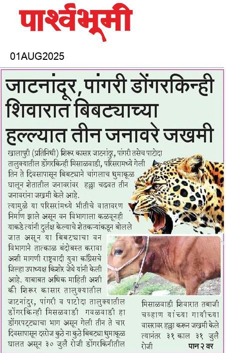 Beed  News Paper